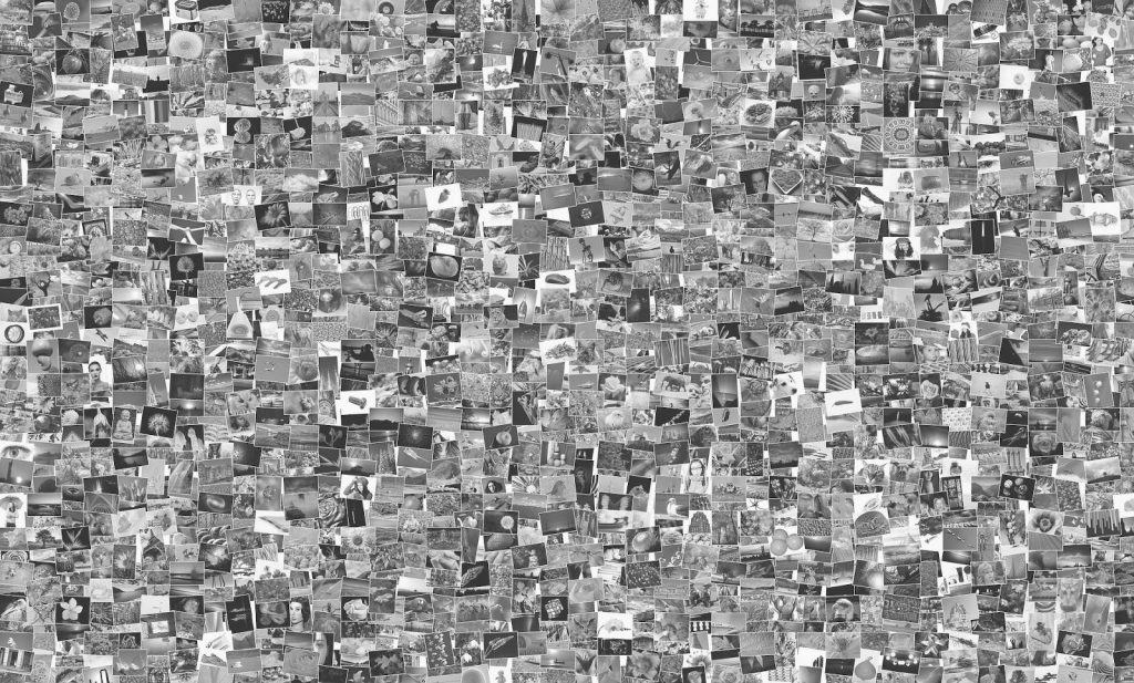 Sehr viele Fotos/M-Box Katalogisierungssoftware bringt Ordnung